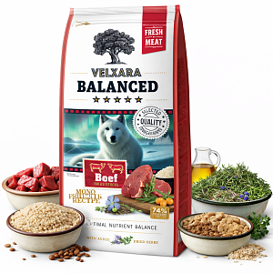 VELXARA Balanced Dry FM Dog Adult Monoprotein Beef & Rice 12 kg
