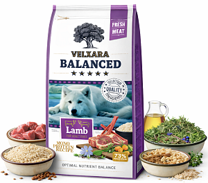 VELXARA Balanced Dry FM Dog Adult Monoprotein Lamb & Rice 12 kg
